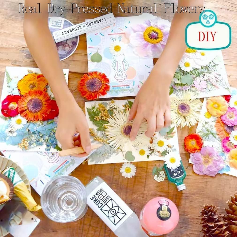 Dried Flowers for Resin Jewelry Molds with Tweezers, Real Pressed Dry Flower Leaves Mixed Multiple Colorful, for DIY Crafts Nail Art Candle Soap Making Phone Case Jewelry Pendant Floral Decors