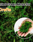 Faux Moss for Potted Plants Artificial Moss for Crafts Fake Moss Decor Green Moss for Crafts Fairy Garden Plants Filler Decorative Moss Table Centerpieces Wedding Christmas Crafts Party Decor