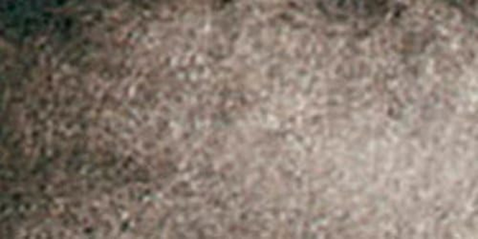 Extra Fine Watercolor 15Ml Paint Tube, Sepia (284600103), 0.5 Fl Oz (Pack of 1)