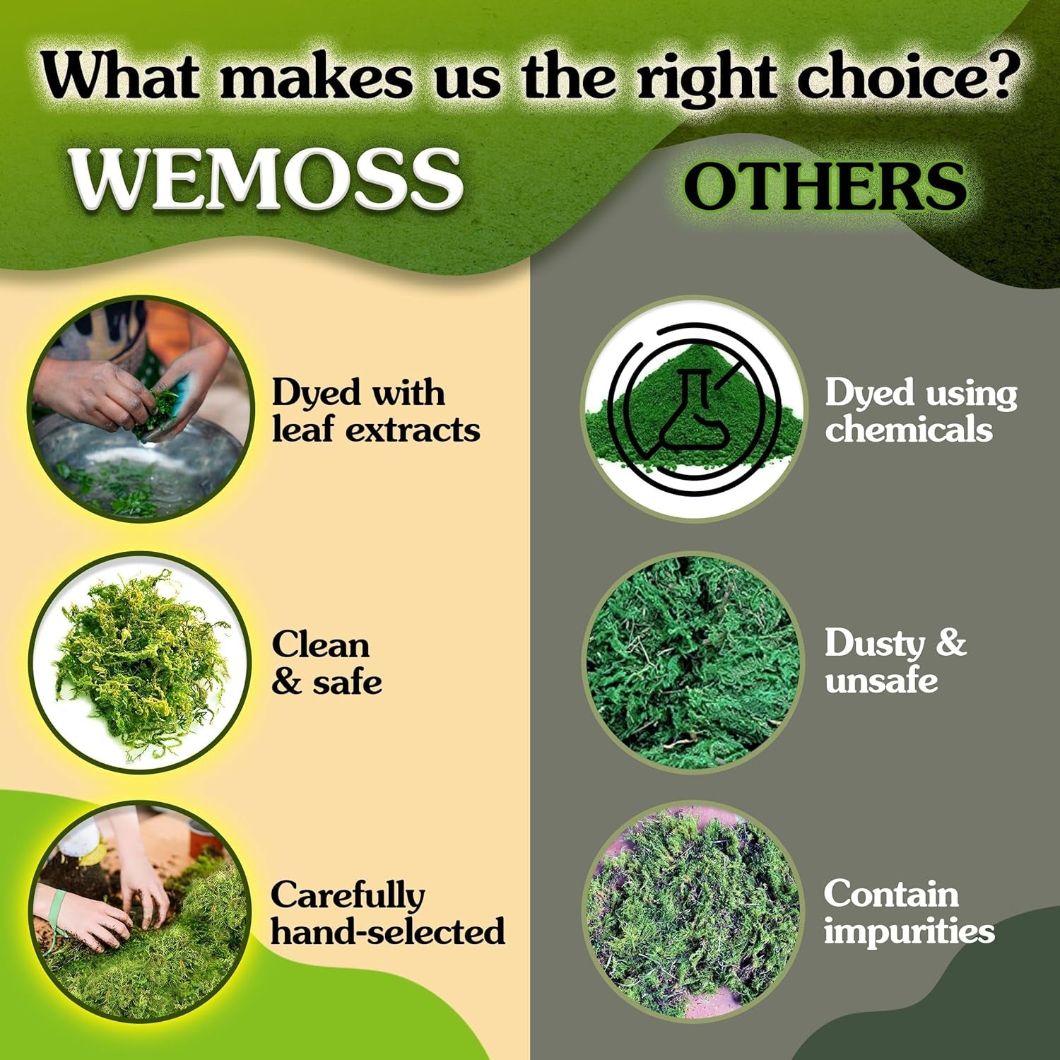 Green Craft Moss, Real Forest Moss for Planters, Decorative Moss for Table Centerpieces Wedding Christmas Fairy Party Decor, Forest Moss for Indoor Planters, DIY Project 7 Oz