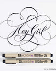 Pigma Micron Fineliner Pens - Archival Black Ink Pens - Pens for Writing, Drawing, or Journaling - Assorted Point Sizes - 6 Pack