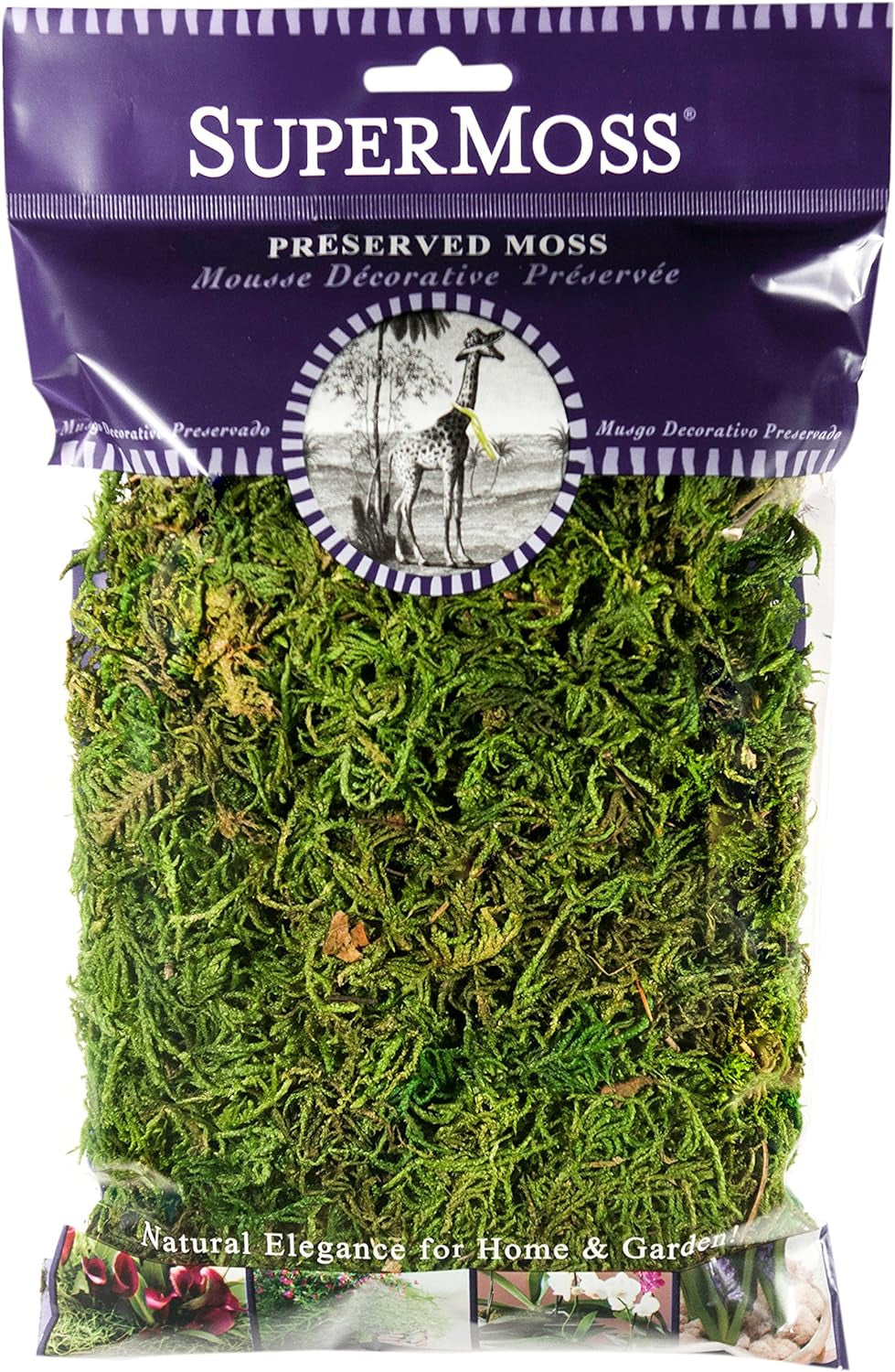 (25320) Forest Moss Preserved, Fresh Green, 2Oz