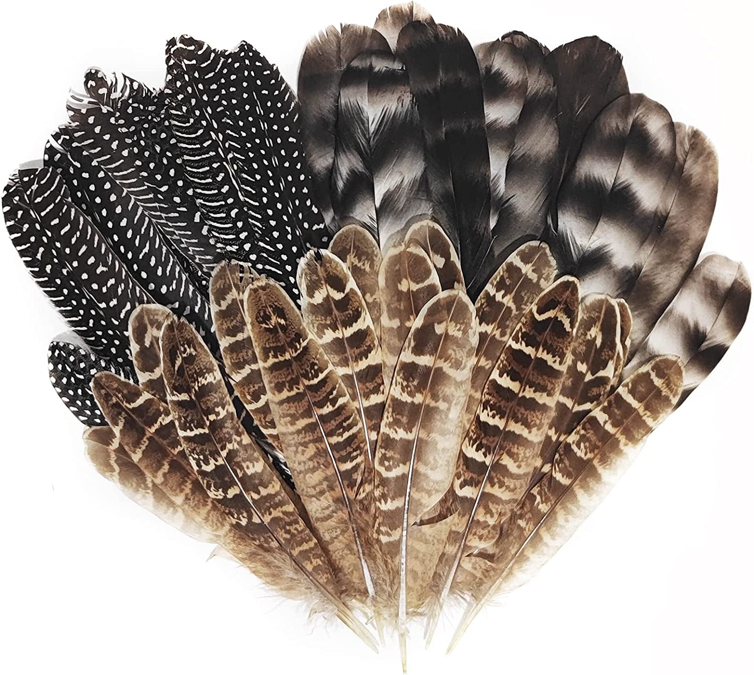 Natural Turkey Spotted Feathers, 30Pcs Pheasant Feathers for Crafts DIY Hat Floral Arrangements Wing Quill Wedding Home Party Decorations 6-8 Inch(3 Styles)