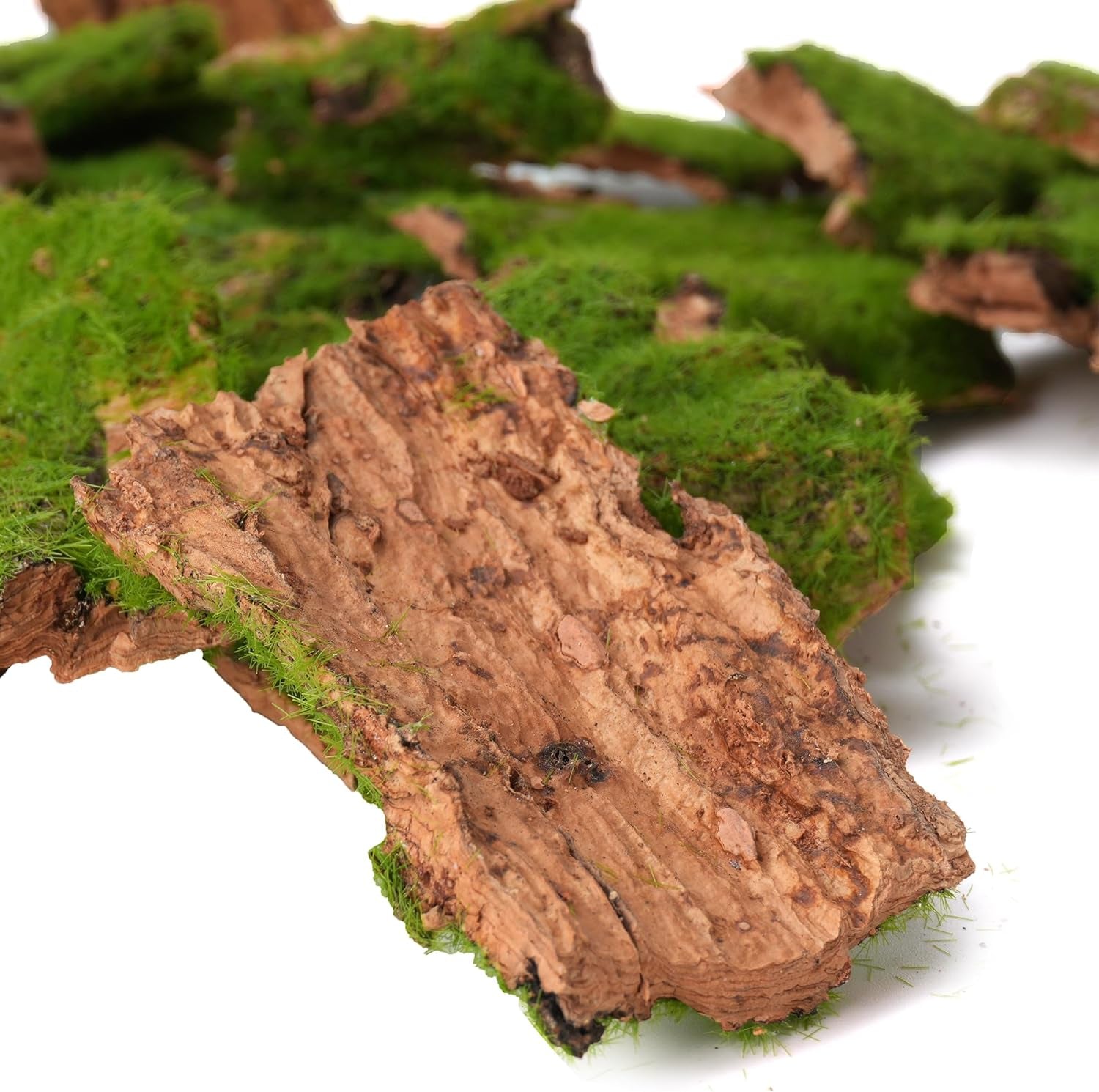 Assorted Artificial Moss Bark, Decorative Mossy Tree Bark for DIY Crafts, Fairy Gardens, Terrariums, Floral Arrangements (Realistic Green - 100Gr)