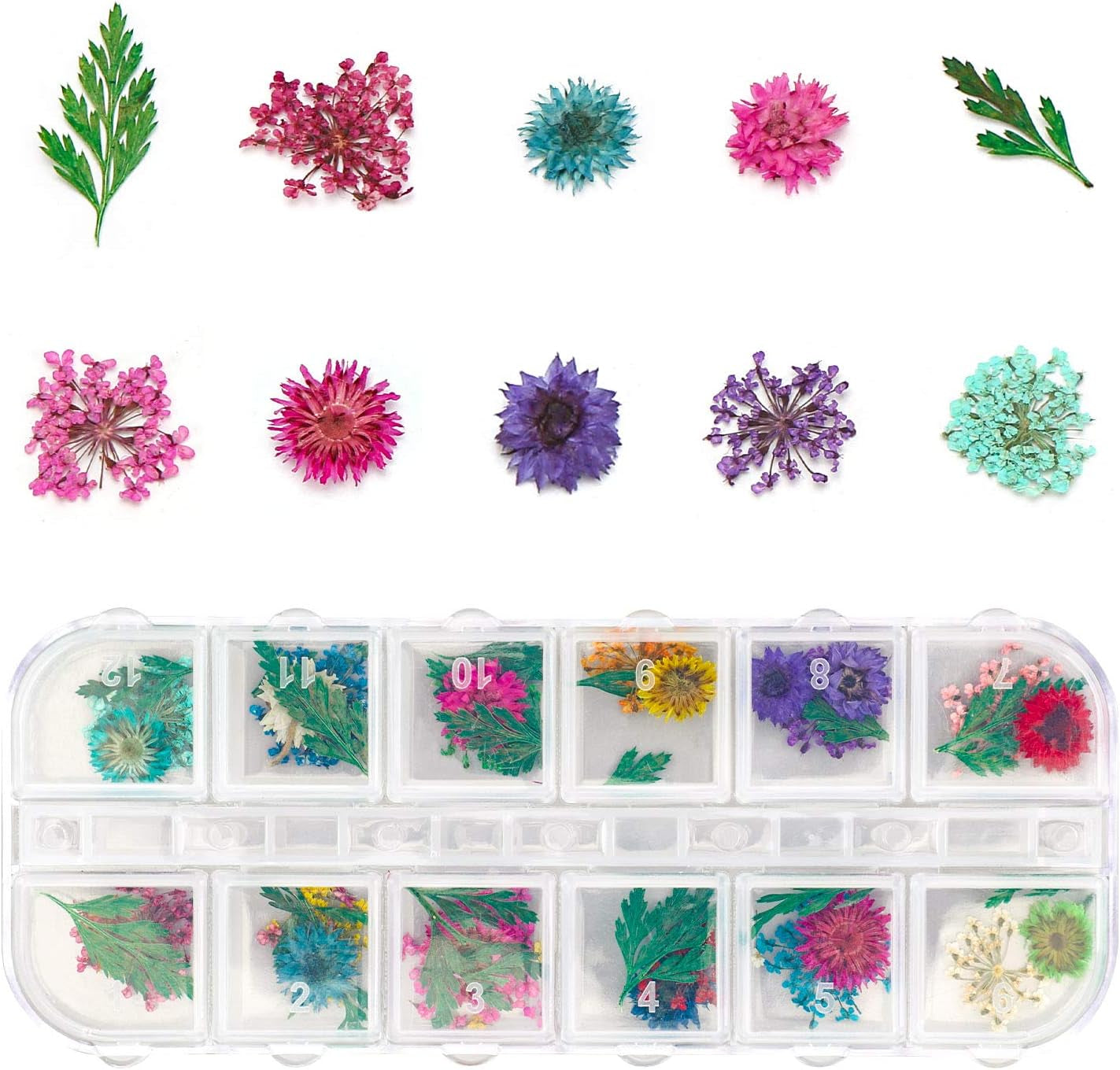 4 Boxes Dried Flowers for Resin, 48 Styles Natural 3D Applique Flowers DIY Craft Supplies, Resin Epoxy Casting Fillers for Silicone Molds, Nail Arts, Handmade Projects, Decoration Accessories