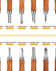 Wood Carving Tools,  12 Set SK2 Carbon Steel Sculpting Knife Kit for Beginners & Professions