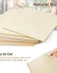 Basswood Sheets for Craft, 12 Pack, 12 X 12 X 1/8 Inch, 3Mm Thick Plywood Sheets, Unfinished Wood Boards for Laser Cutting & Engraving, DIY Architectural Models, Wood Burning and Stain