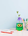 6 Sets DIY Ceramic Owl Succulent Pots Figurines Paint Craft Kit Unpainted Ceramic Bisque Paintable Owl Ceramic Flowerpots with Drainage Hole Ready to Paint for Kids Classroom Craft Project Acticity