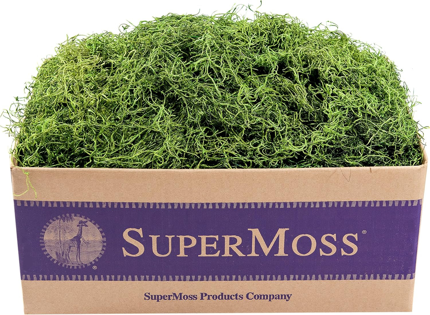 (26927) Spanish Moss Preserved, Grass, 3Lbs