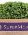 (26927) Spanish Moss Preserved, Grass, 3Lbs