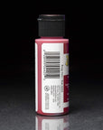Brush on Fabric Acrylic Paint Beginner Set (2-Ounce),