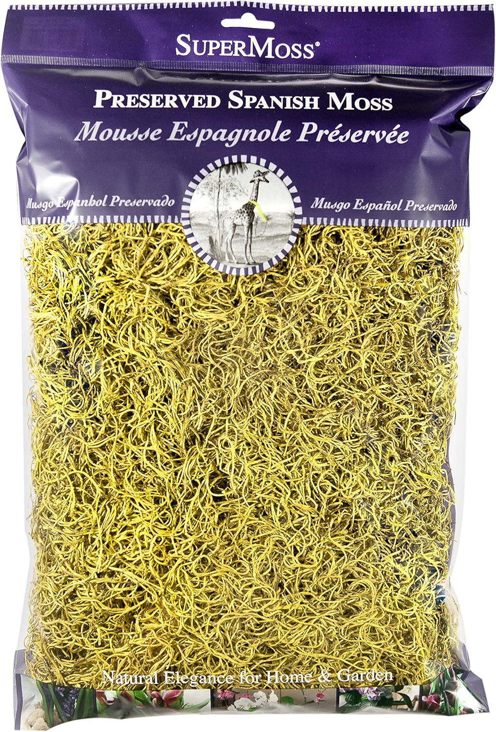 (26966) Spanish Moss Preserved, Pear, 8Oz