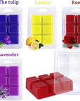 Wax Melt Molds 100 Pack Wax Molds Clear Plastic Wax Melt Clamshells
