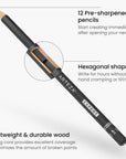Drawing Sketch Pencils Set of 12, Medium (6B - 4H), Drawing Pencils for Sketching, Artist Graphite Pencils for Drawing