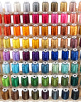 80 Spools Polyester Embroidery Machine Thread Kit 500M (550Y) Each Spool - Colors Compatible with Janome and Robison-Anton Colors