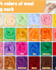 Needle Felting Kit, Wool Roving (5G/Color), Complete Needle Felting Starter Kit with Basic Felt Tools and Supplies Wool Fibre Spinning Craft Wet Felting Material for Beginners