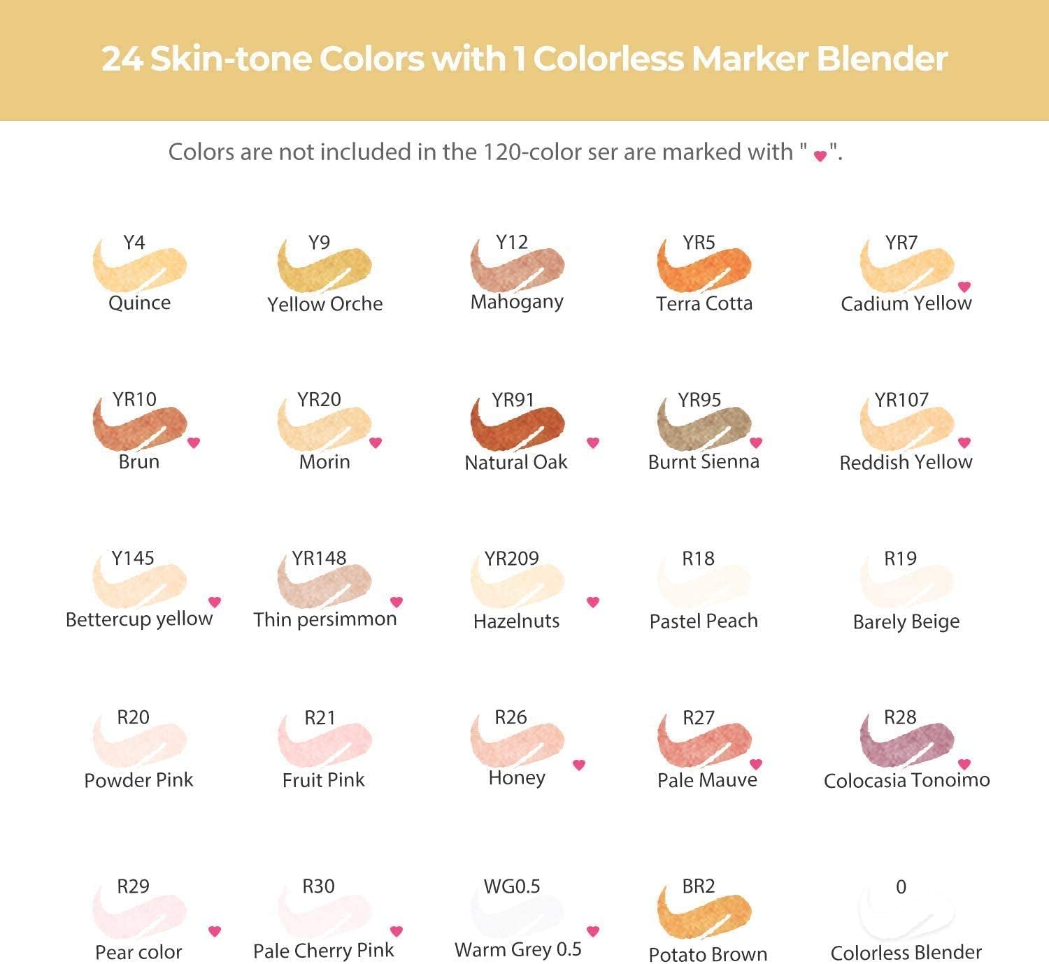 Skin Tone Alcohol Markers Brush Tip - 24 Portrait Color Markers for Artist Adults Coloring Illustration - Chisel & Brush - Honolulu - Refillable