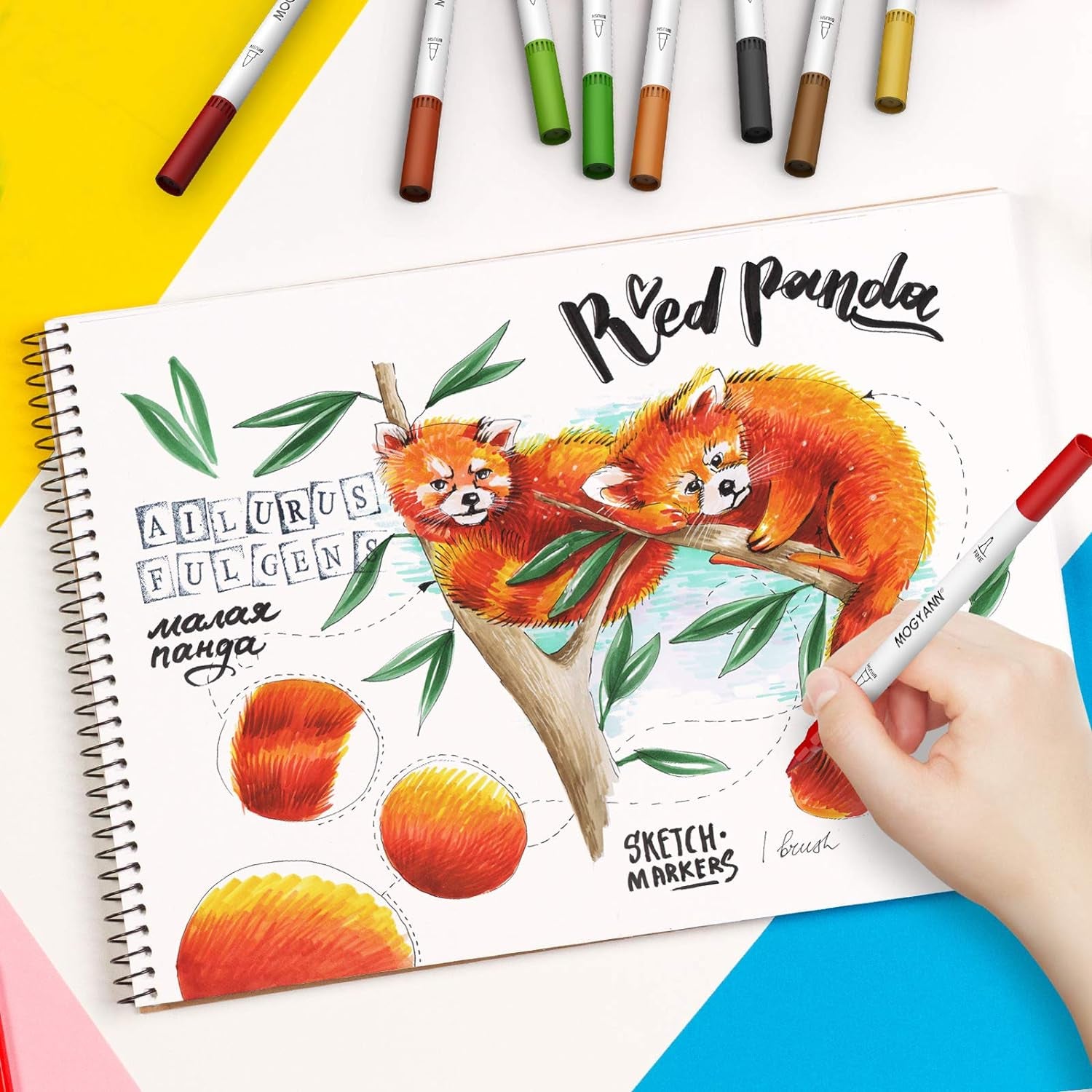 Coloring Markers Set for Adults - 72 Colors Dual Brush Pen Art Markers for Adult Coloring, Writing and Calligraphy, Drawing, Sketching