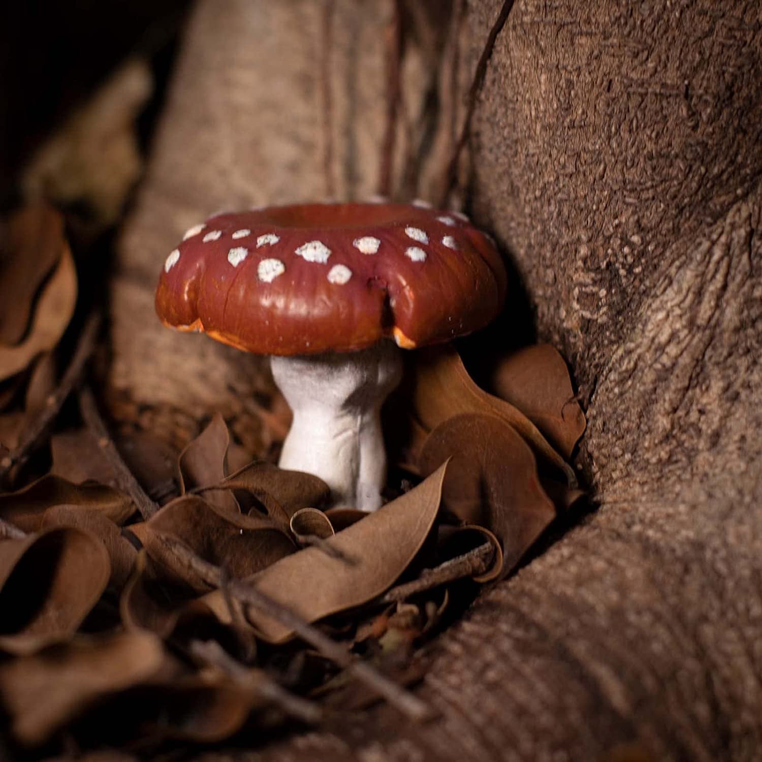 Life like Mushroom Polymer Clay Casting Silicone Mold and Veiner for Fondant Cake Decorating, Modelling Chocolate