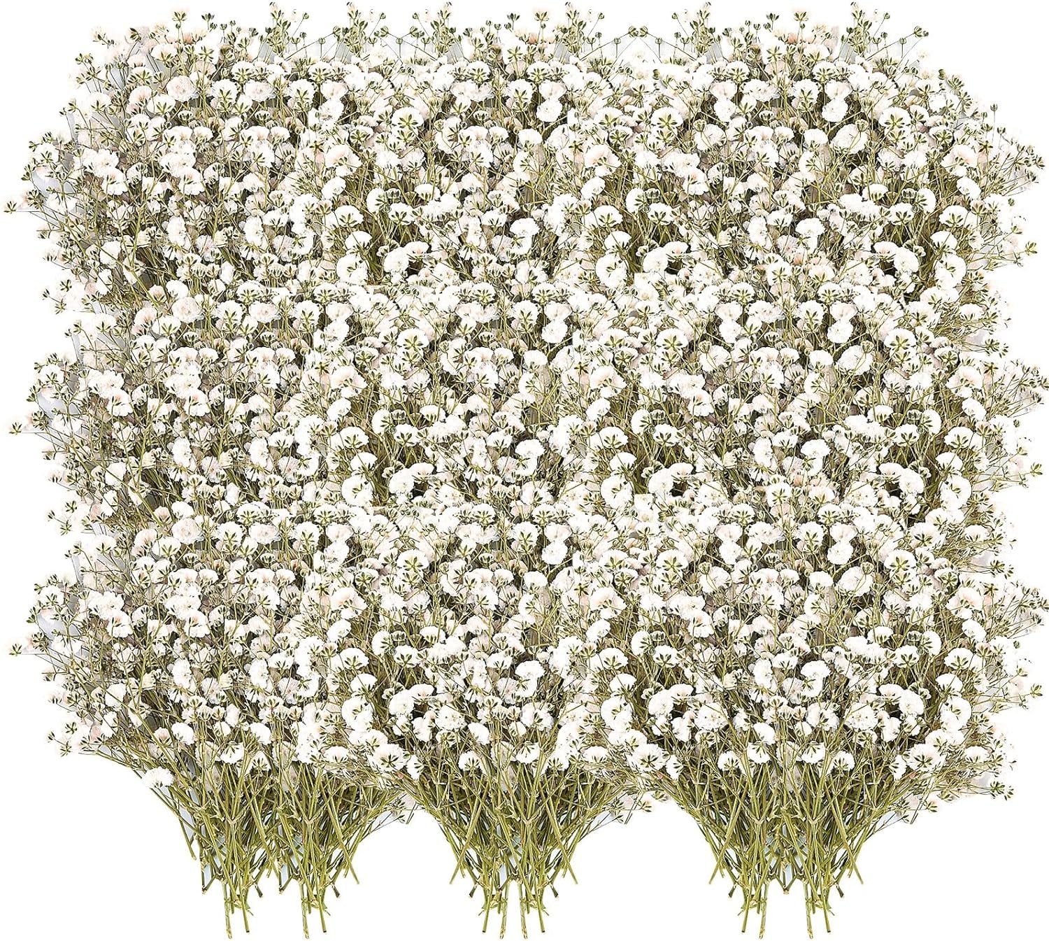 200PCS  White Dried Flowers Small Baby'S Breath Flowers Nature Real Dry Pressing Floral Natural Gypsophila Dried Flowers for Wedding Resin Art Craft DIY Card Making