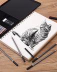- Sketch Pencils for Drawing, 19 Pcs, Drawing Pencils for Sketching with Graphite Sticks, Erasers and Sharpener, Sketching Pencils, Art Pencils for Sketching, Graphite Pencils, Artist Pencils