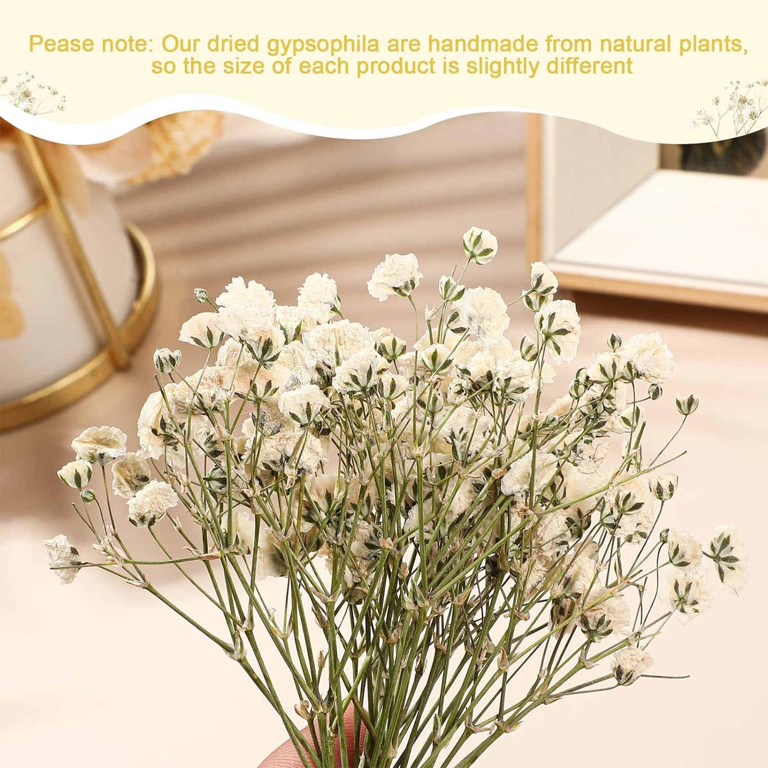 100 Pcs Dried Babys Breath Flowers Bulk Ivory White Babys Breath Real Pressed Flowers Natural Gypsophila Dried Flowers for Resin Wedding Art Craft DIY Invitations Scrapbooking Card Making