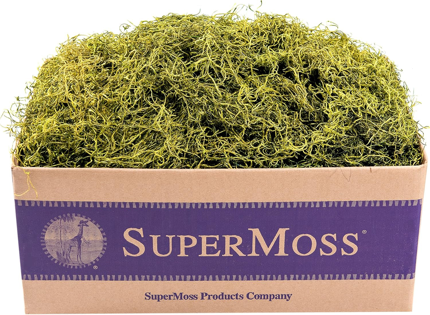 (27012) Spanish Moss Preserved, Chartreuse, 3Lbs