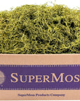 (27012) Spanish Moss Preserved, Chartreuse, 3Lbs