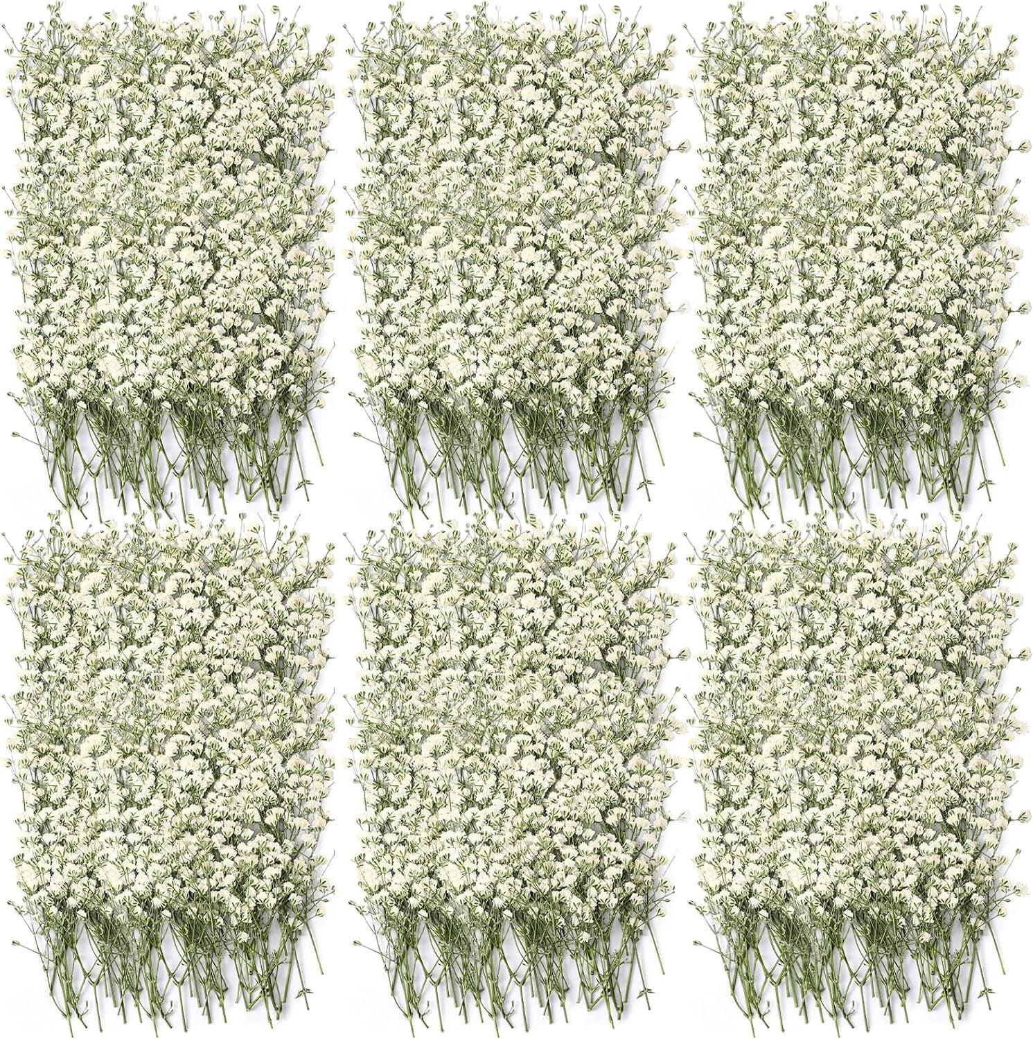 300 Pcs Dried Babys Breath Flowers Bulk Ivory White Babys Breath Real Pressed Flowers Natural Gypsophila Dried Flowers for Resin Wedding Art Craft DIY Invitations Scrapbooking Card Making