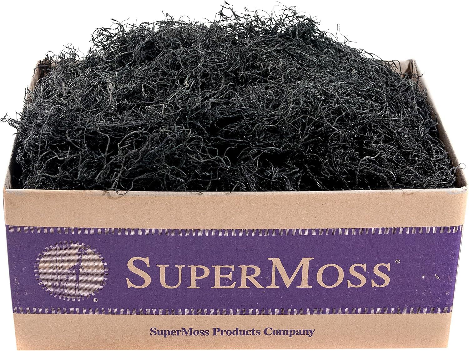 (27017 Spanish Moss Preserved, Black, 3Lbs