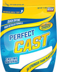 Cast & Paint: Perfectcast 2 LBS Refill