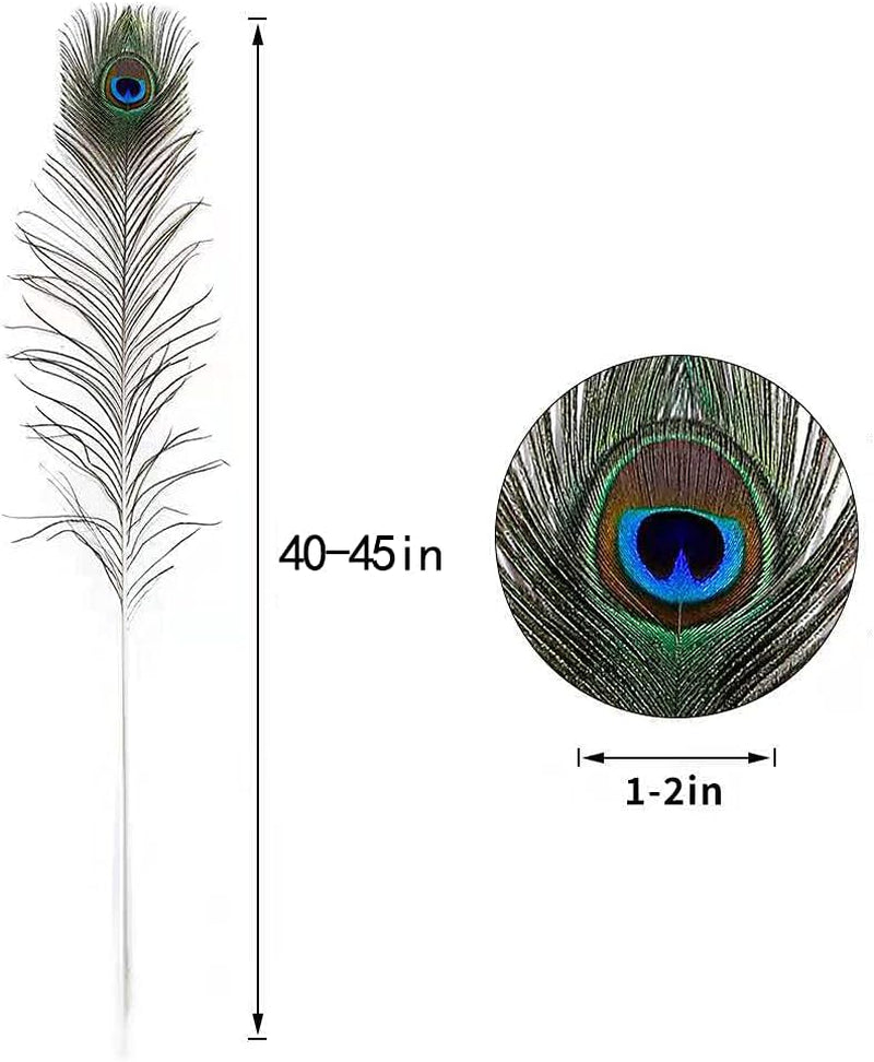 20Pcs Natural Peacock Feathers Long Pole Bulk 40-45 Inch for DIY Craft, Wedding Holiday Decorationn and Floral Arrangement