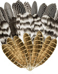 30Pcs Natural Turkey Feathers, 5.3-7 Inch Craft Feathers Pheasant for Hats, 3 Style Mixed Natural Feathers for Carnival Costume Feather Mask Wedding Party Decoration Flower Arrangement