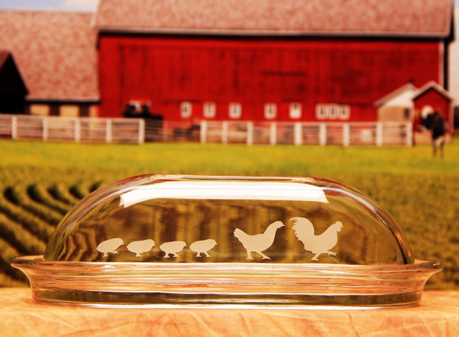 Glass Etching Cream - Create Stunning Designs on Glass Surfaces - Etching Cream for Glass by  - 22 Oz Net Weight