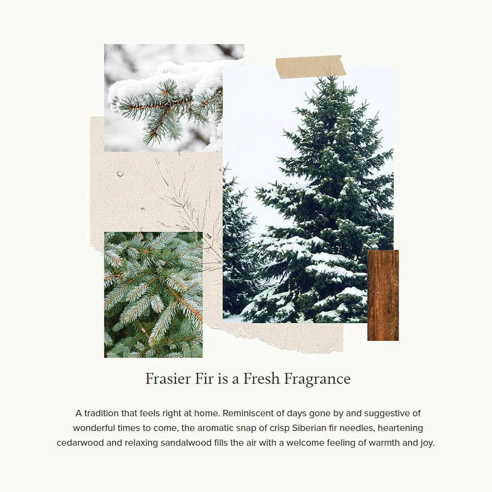 Wax Melt - 1 Oz - Frasier Fir
