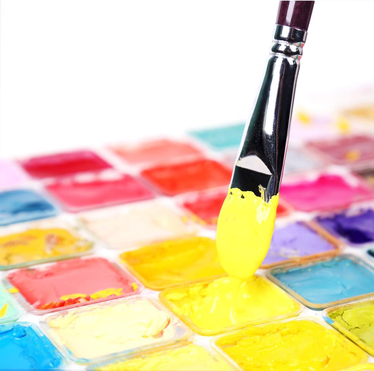 Red Sable Filbert Paint Brushes 6Pcs for Watercolor, Acrylic, Oil, Tempera and Gouache Painting