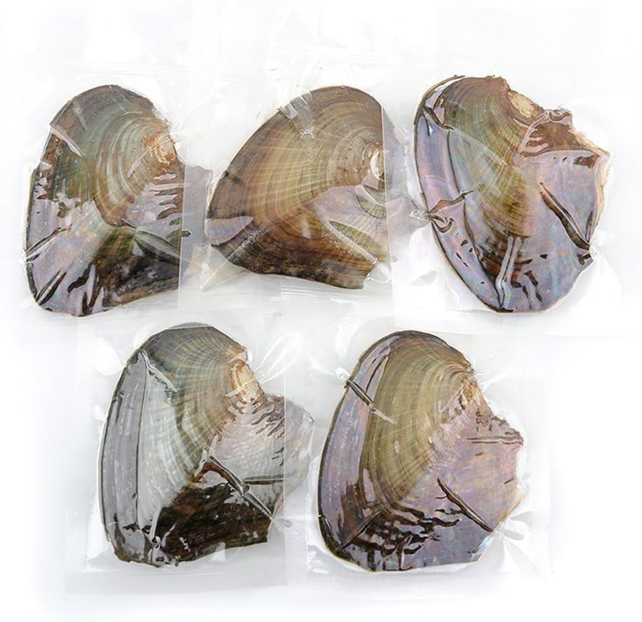 10 PC Freshwater Cultured Pearl Oyster Oval Pearls with White/Pink/Purple/Black, Birthday Gifts(7.5-8Mm)