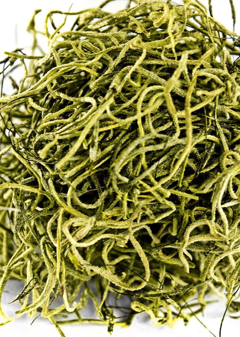 (26959 Spanish Moss Preserved, 120 Cubic in Bag (Appx. 4Oz), Basil