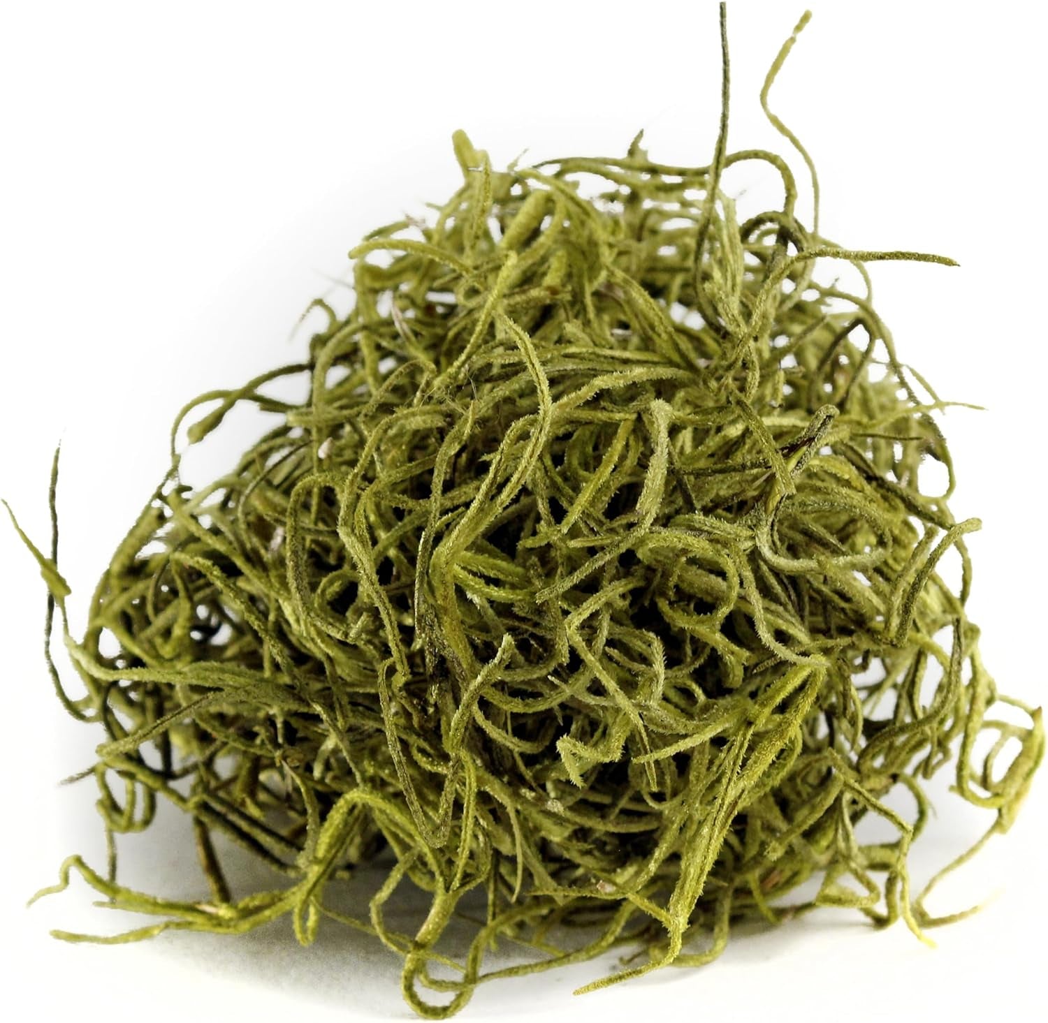 (26968) Spanish Moss Preserved, Chartreuse, 8Oz (200 Cubic Inch)