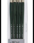 Winton Long Handle Brush (3 Pack) (Round 4, Filbert 6, Flat 8)