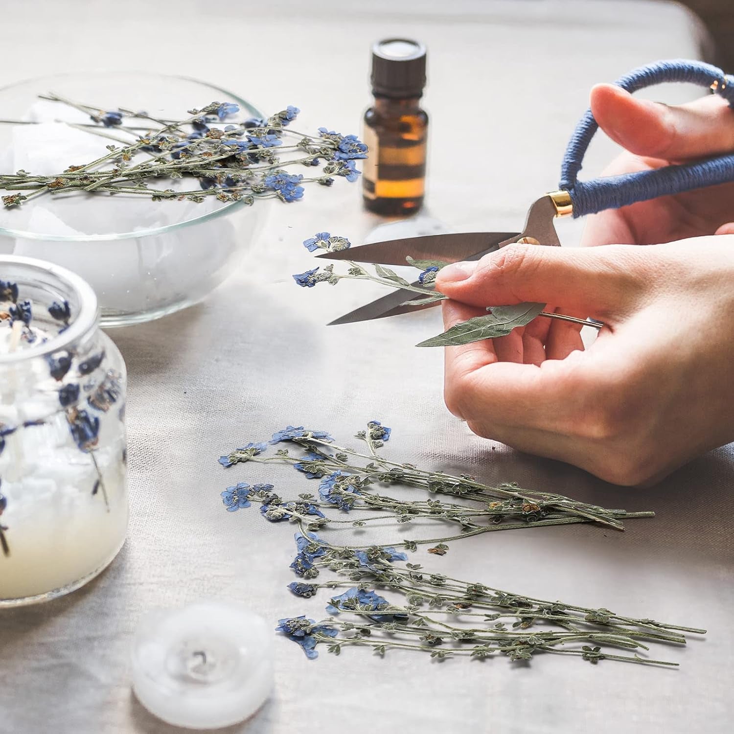 100 Pcs Natural Forget Me Not Pressed Dried Flowers Blue Don'T Forget Me Dried Flower Real Dried Flowers for Resin Jewelry Candle Card Making Nail Art Flowers DIY Home Decoration