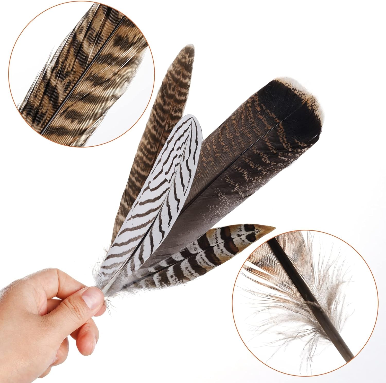 12Pcs Natural Pheasant Feathers 10-30Cm 4 Style Feathers Mixed Feathers for DIY Craft Wedding Home Party Decorations