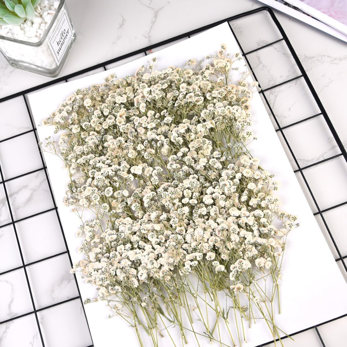 200PCS  White Dried Flowers Small Baby'S Breath Flowers Nature Real Dry Pressing Floral Natural Gypsophila Dried Flowers for Wedding Resin Art Craft DIY Card Making