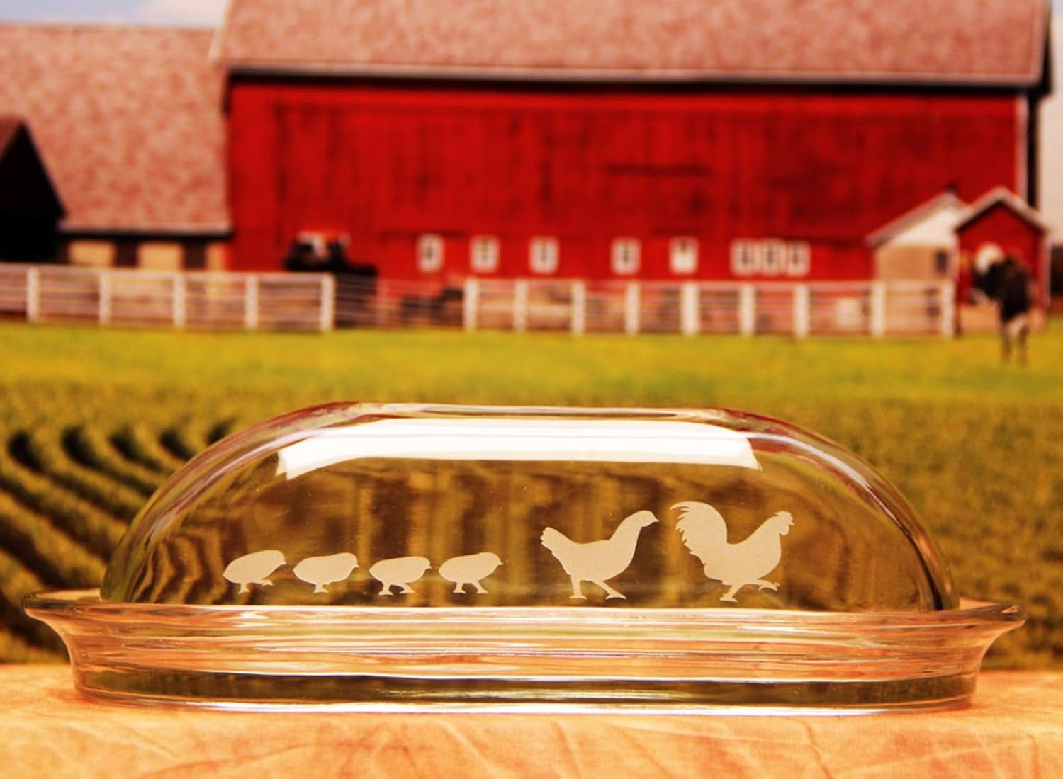 Glass Etching Cream - Create Stunning Designs on Glass Surfaces - Etching Cream for Glass by  - 10 Oz Net Weight