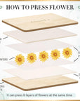 Flower Press Kit, Large Wooden Flower Pressing Kit for Adults Kids, 6 Layers 6.3 X 8.3 Inch Flower Press Leaf Pressing Kit to Making Dried Plants, DIY Flower Preservation Kit Crafts
