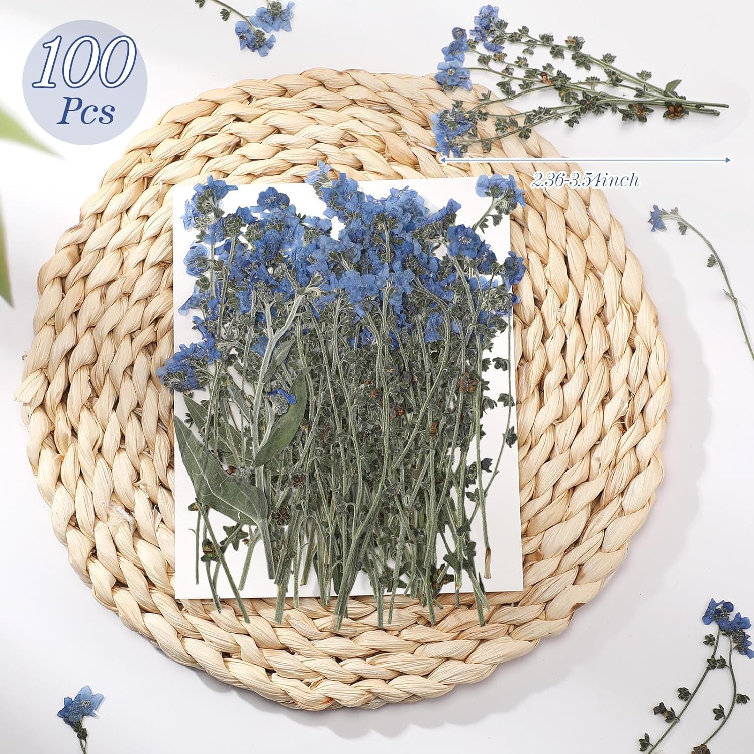100 Pcs Natural Forget Me Not Pressed Dried Flowers Blue Don'T Forget Me Dried Flower Real Dried Flowers for Resin Jewelry Candle Card Making Nail Art Flowers DIY Home Decoration