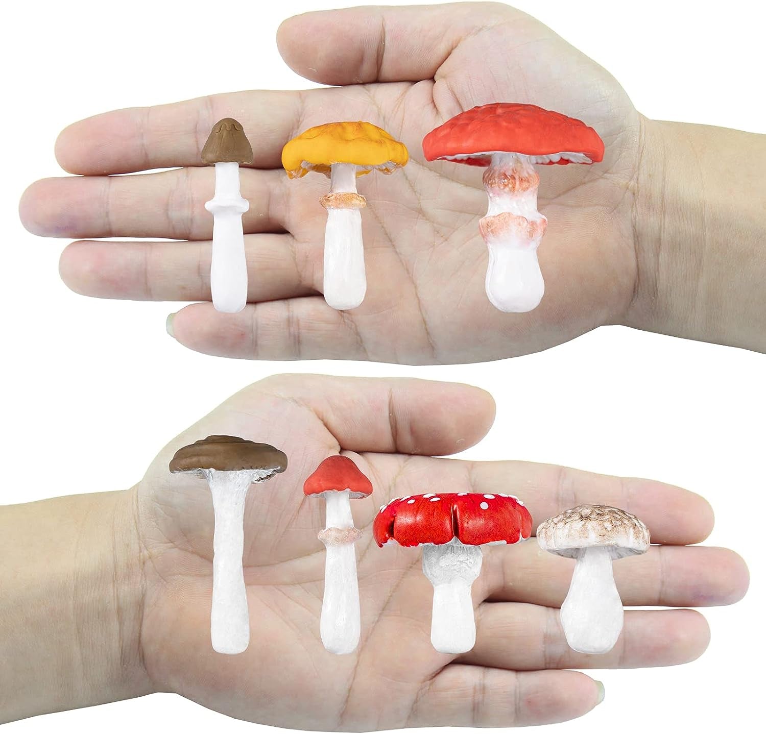 Life like Mushroom Polymer Clay Casting Silicone Mold and Veiner for Fondant Cake Decorating, Modelling Chocolate
