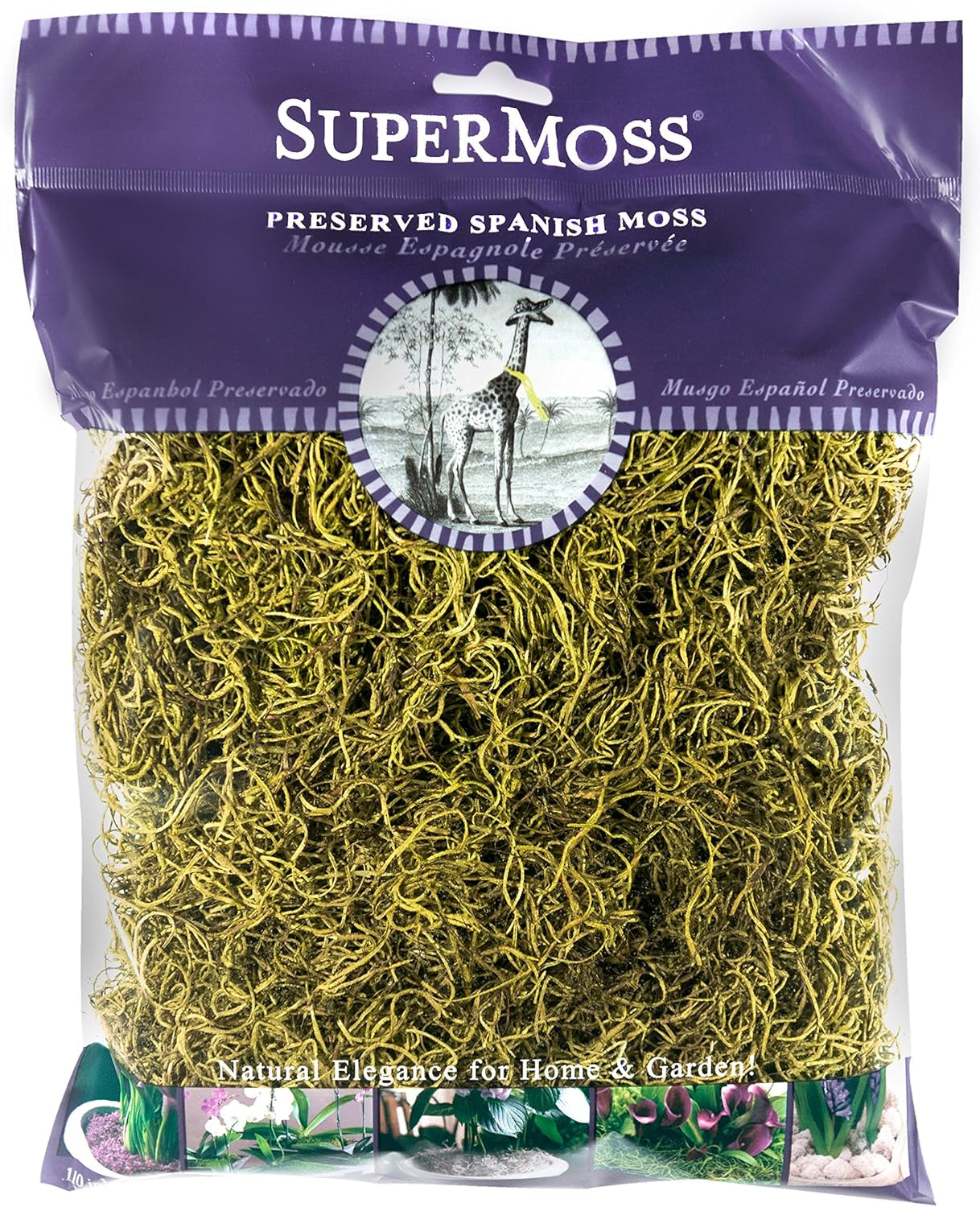 (26959 Spanish Moss Preserved, 120 Cubic in Bag (Appx. 4Oz), Basil