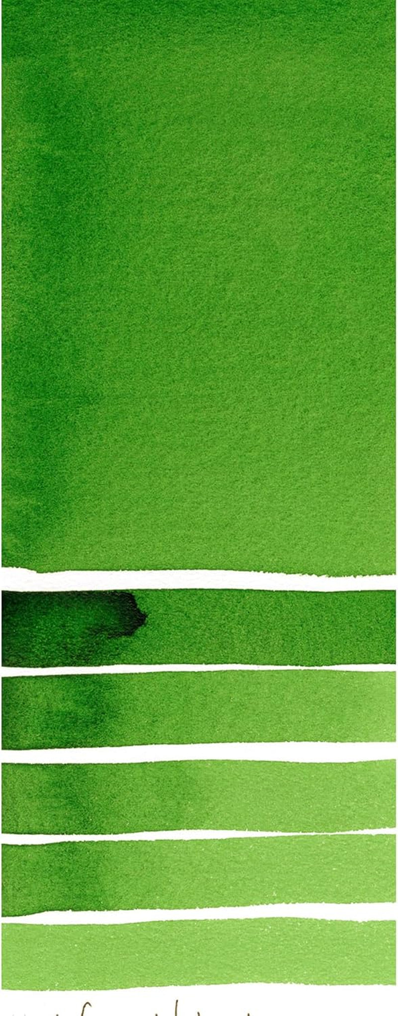284600042 , Hooker'S Green Extra Fine Watercolor 15Ml Paint Tube, 0.5 Fl Oz (Pack of 1)