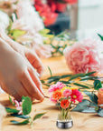 12 Pcs Flower Frog Holder 0.92 Inch Mini Floral round Flower Arranger Fixed Flower Pin Holder Tool Floral Arrangement Pin Holder Japanese Flower Holder Plant Fixation(Gold)